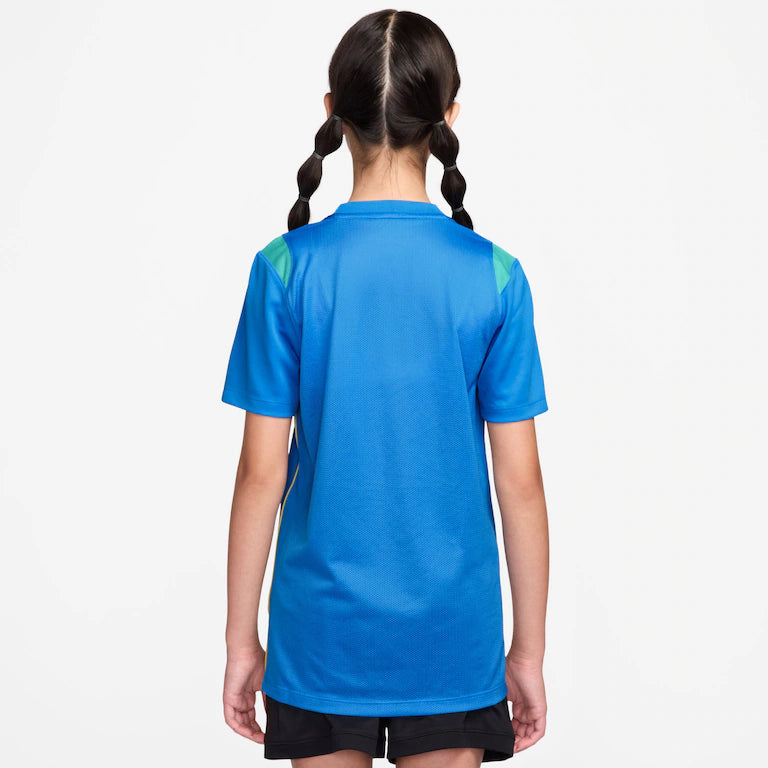 Camiseta Brasil Dri-FIT Nike Academy Pro Infantil