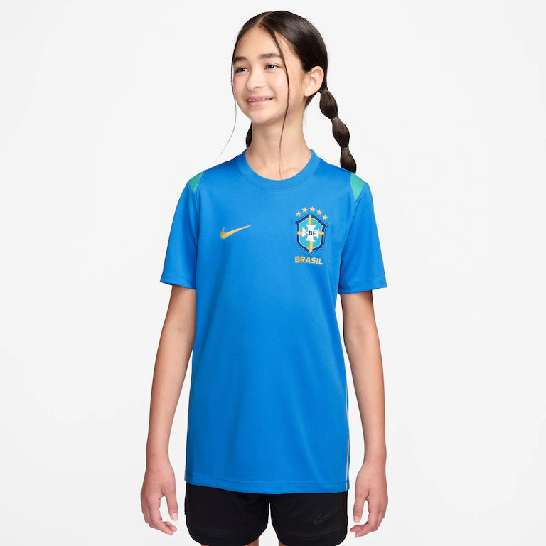 Camiseta Brasil Dri-FIT Nike Academy Pro Infantil